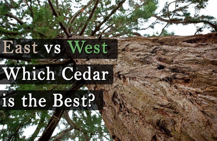 western red cedar vs eastern red cedar
