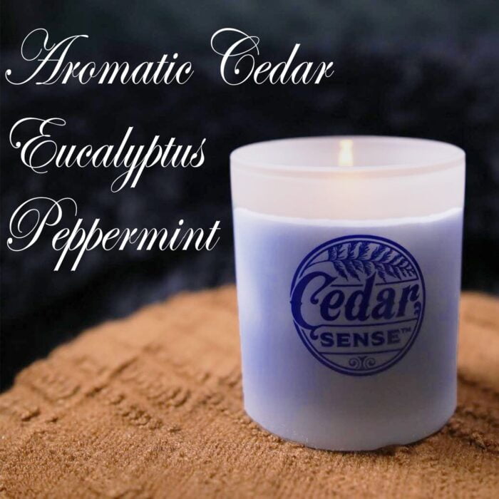 Peppermint Eucalyptus Cedar Wood Candles | Eastern Red Aromatic Cedar Oil Candles - Image 6