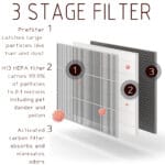 best air purifier