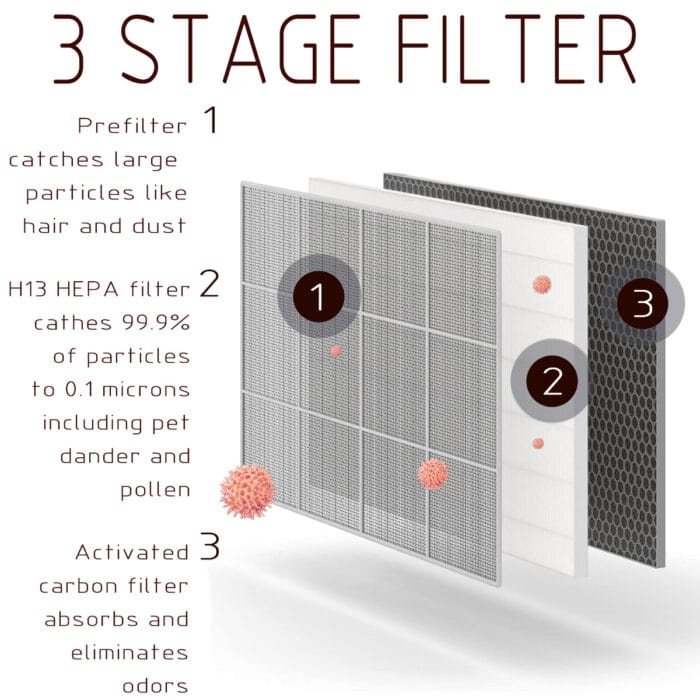 best air purifier