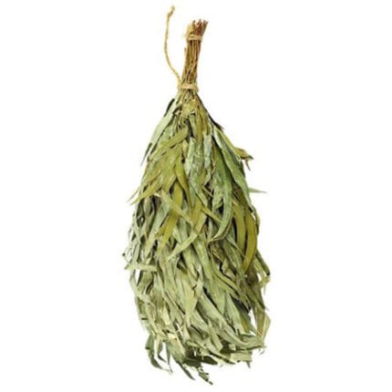 eucalyptus sauna whisk