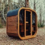 luxury cube sauna with glass door and wood paneling